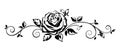 Horizontal vignette with a rose. Vector illustration. Royalty Free Stock Photo