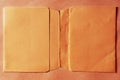 Horizontal vintage double page orange empty floppy case