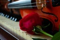 Red roses on a piano