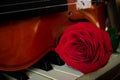 Red roses on a piano Royalty Free Stock Photo