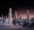 Horizontal vivid winter Finland landscape background backdrop