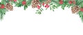 Horizontal watercolor Christmas border. Hand drawn illustration. Pine cone and branches, Holly plant with red berries Royalty Free Stock Photo
