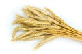 Horizontal wheat ears isolated on white background as package design element. Royalty Free Stock Photo