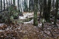 Horizontal View of the Appalachian Trail in the Winter Time Royalty Free Stock Photo