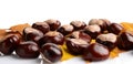 Horizontally many chestnuts with autumn leaves on white background Royalty Free Stock Photo