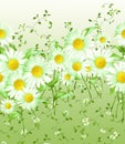 Horizontally repeating pattern of large and small daisies