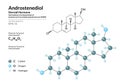 Hormone Androstenediol. Structural Chemical Formula and Molecule 3d Model. Atoms with Color Coding. Vector Illustration