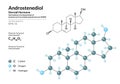 Hormone Androstenediol. Structural Chemical Formula and Molecule 3d Model. Atoms with Color Coding. Vector Illustration Royalty Free Stock Photo