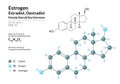 Hormone Estrogen Estradiol, Oestradiol. Structural Chemical Formula and Molecule 3d Model. Atoms with Color Coding. Vector Royalty Free Stock Photo