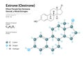 Hormone Estrone Oestrone. Structural Chemical Formula and Molecule 3d Model. Atoms with Color Coding. Vector Illustration Royalty Free Stock Photo