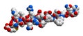 Hormone glucagon 3D molecular structure Royalty Free Stock Photo