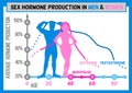 Hormone production chart
