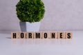 HORMONE word written on wood block, medical concept.