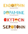 Hormones colorful typography banner isolated on white. Endorphin, dopamine, oxytocin, serotonin. Mood stabilizer, love