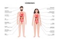 Hormones in human body