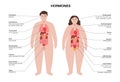 Hormones in human body