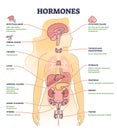 Hormones with human body organs and labeled chemical titles outline diagram Royalty Free Stock Photo