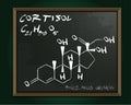 Hormones Molecule Blackboard Royalty Free Stock Photo