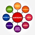 Hormones - your body\'s chemical messengers, mind map concept background