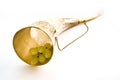 Horn and grape Royalty Free Stock Photo