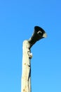 Horn Information carrier on a pole, sky background