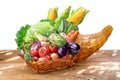 Horn of plenty with fresh organic vegetables and herbs as a symbol of autumn gifts. File contains clipping path