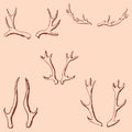 Horn sketch of a deer. Pencil drawing by hand. Vintage colors. Vector Royalty Free Stock Photo