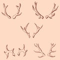 Horn sketch of a deer. Pencil drawing by hand. Vintage colors. Vector Royalty Free Stock Photo