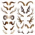 Horn vector horned wild animal and deer or antelope antlers illustration set of hunting trophy of reindeer Royalty Free Stock Photo