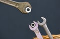 Horn wrenches in the nest. Horn wrench with nut. Imitation of feeding chicks