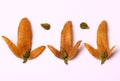 Hornbeam seeds on the white background