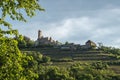 Hornberg Castle above the Vineyards, Neckar Valley, Germany