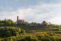 Hornberg Castle in Neckar Valley, Neckarzimmern, Baden-Wuerttemberg, Germany