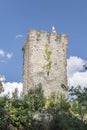 Hornberg castle tower, Germany Royalty Free Stock Photo
