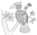 Hornbill bird on the tree zentangle design for coloring book and other decorations.