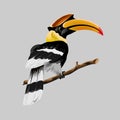 Hornbill bright tropical bird with an incredible yellow beak.Hornbill sitting on a branch. Vector illustration.Isolated