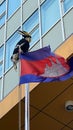 Hornbill with Cambodian flag