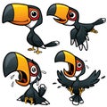 Hornbill Character