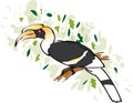 Hornbill