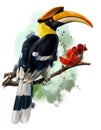 The hornbill sitting on a branch. Watercolor painting