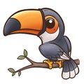 Hornbill