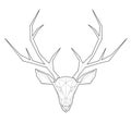 Horned deer - low polygon illustration