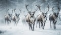 Horned deer standing in snowy arctic forest generated by AI