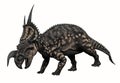 Horned Dinosaur