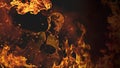 Horned female demon in flames at dark background