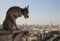 Horned Gargoyle With Eiffel Tower Royalty Free Stock Photo