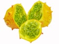 Horned melon fruit Royalty Free Stock Photo