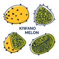 Horned melon fruit logo. Set of exotic kiwano melon icons. Vector cartoon illustration from outline and silhouette. Tropical fruit Royalty Free Stock Photo