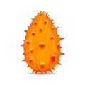 Horned melon fruit realistic