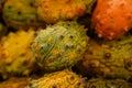 Horned melon or kiwano exotic fruits close up